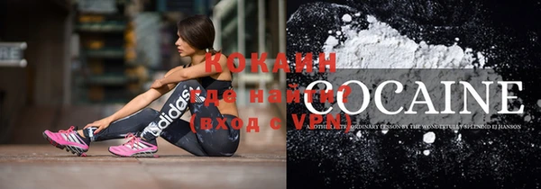 соль ск Дмитровск