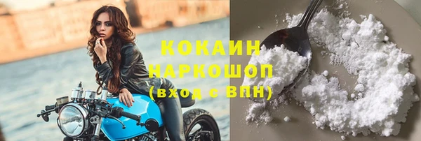 соль ск Дмитровск