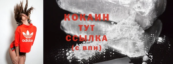 сатива Дмитриев