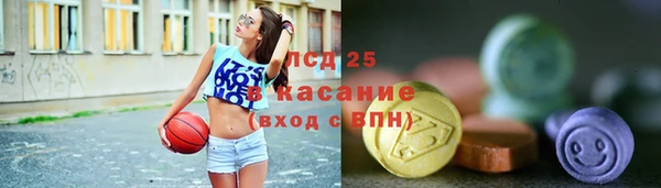 сатива Дмитриев