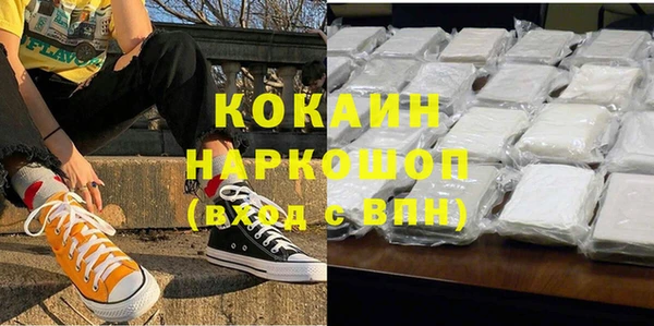 сатива Дмитриев