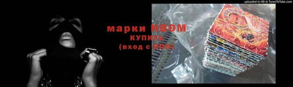 сатива Дмитриев