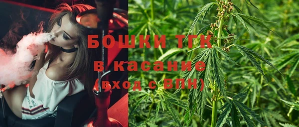 сатива Дмитриев