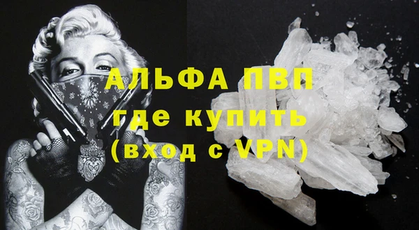 сатива Дмитриев