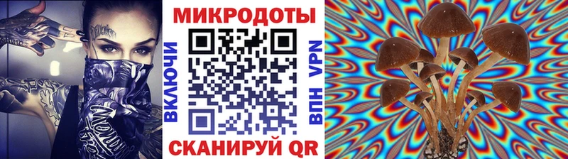 Псилоцибиновые грибы мицелий  Купить где  Кукмор 